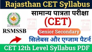 Rajasthan CET 12th Level Syllabus PDF Download