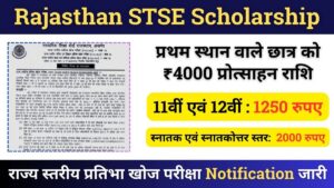 Rajasthan STSE 2024 Application Form